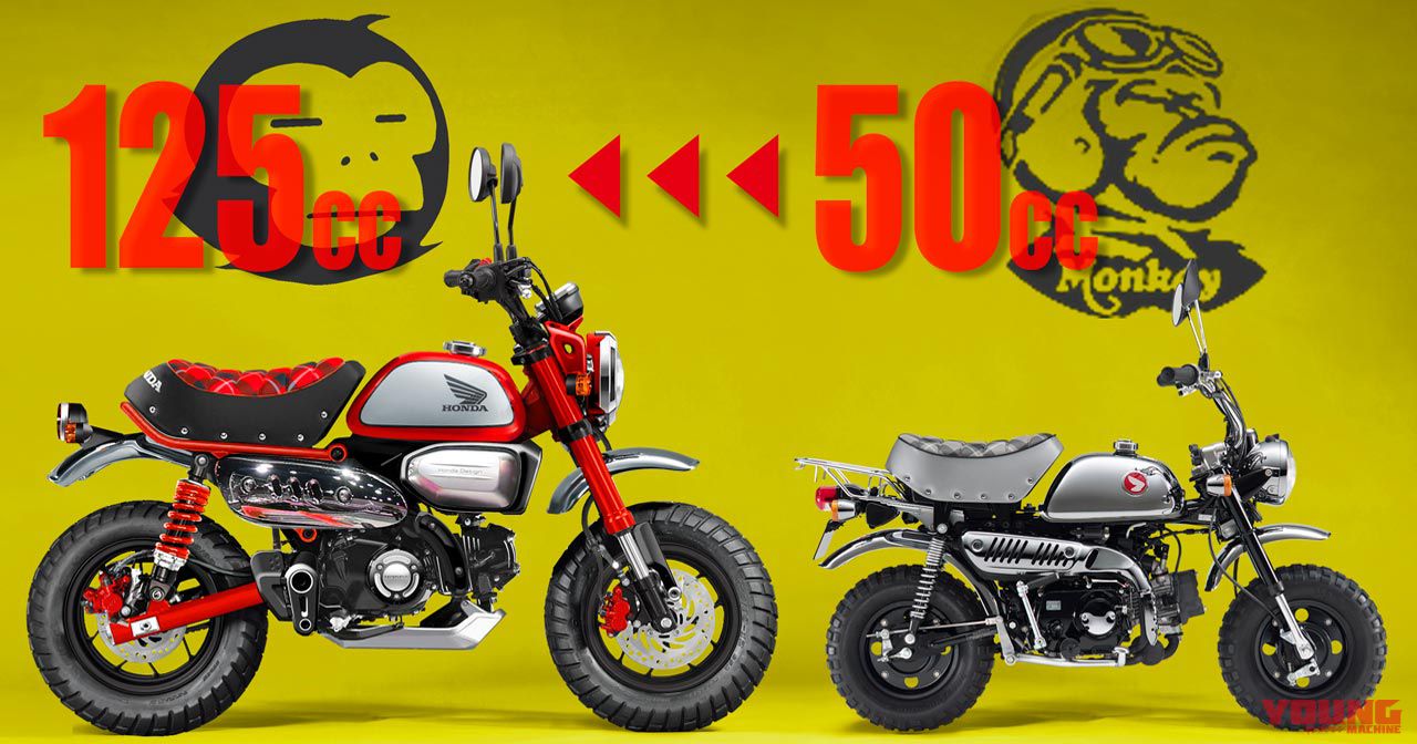 ホンダ・モンキーは不滅!　新型は「モンキー125」が来る!!