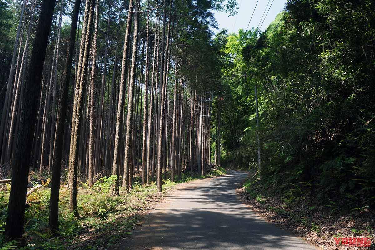 日高市高麗本郷