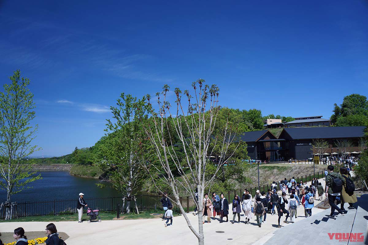 飯能市宮沢湖付近