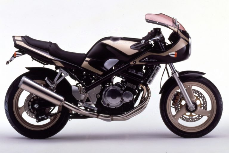 SUZUKI BANDIT250LTD