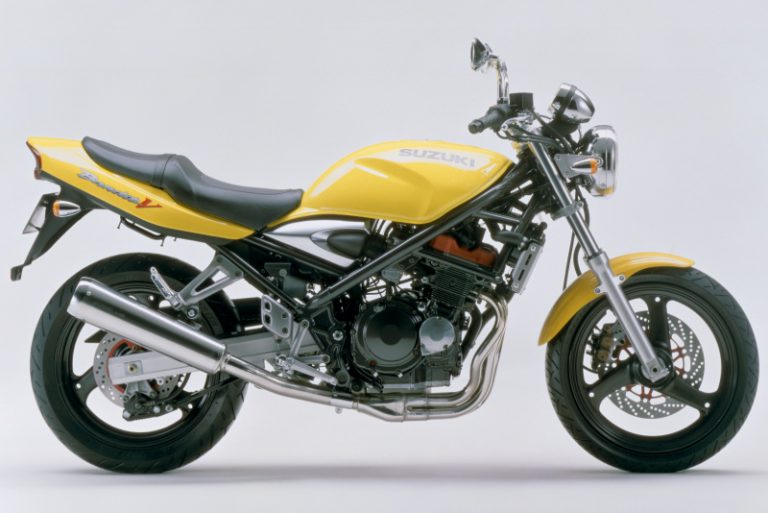 SUZUKI BANDIT250/V