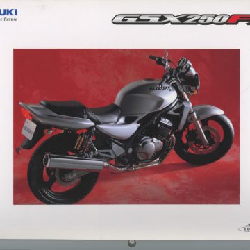 SUZUKI　GSX250FX　2002