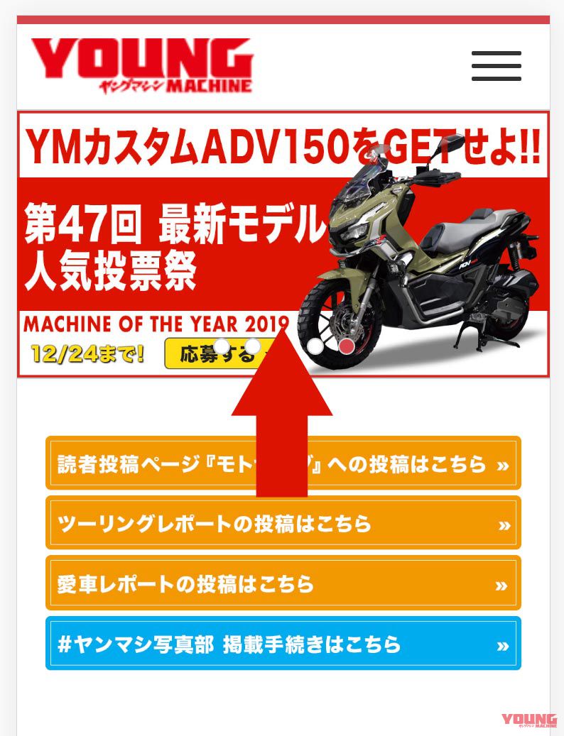 moty2019
