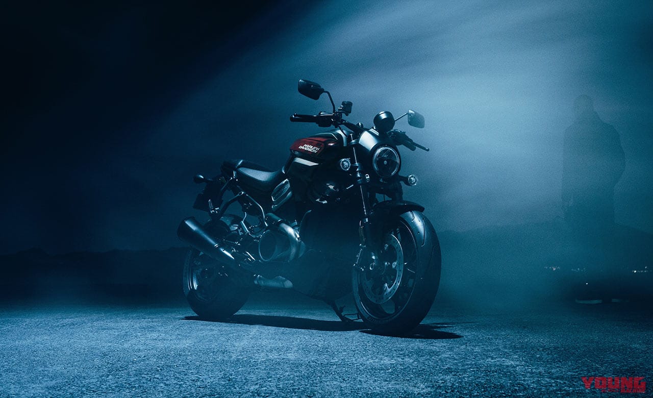 HARLEY DAVIDSON BRONX