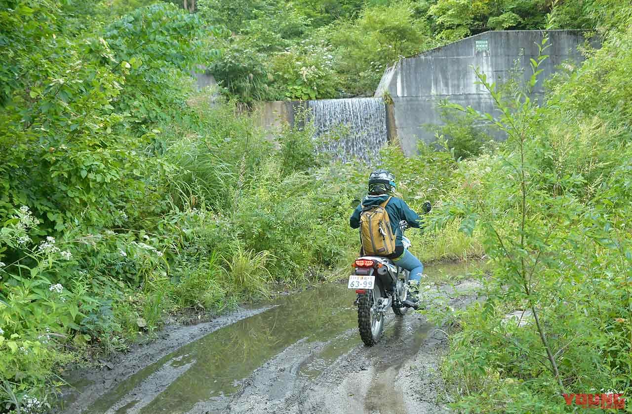 牛首林道