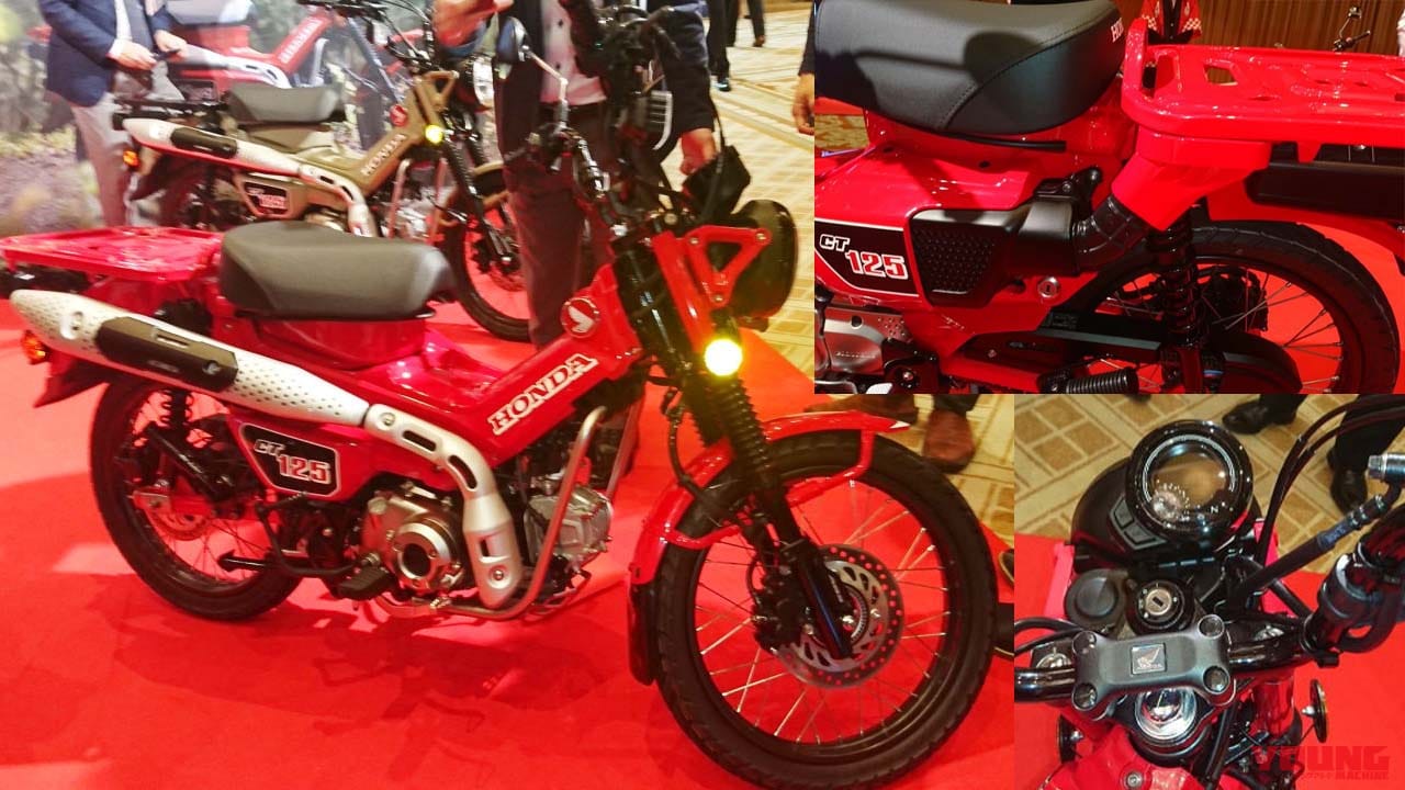 Scoop ハンターカブ細部情報 Ct125の気になるディテールと 3タイプのカスタム車 Webヤングマシン 最新バイク情報