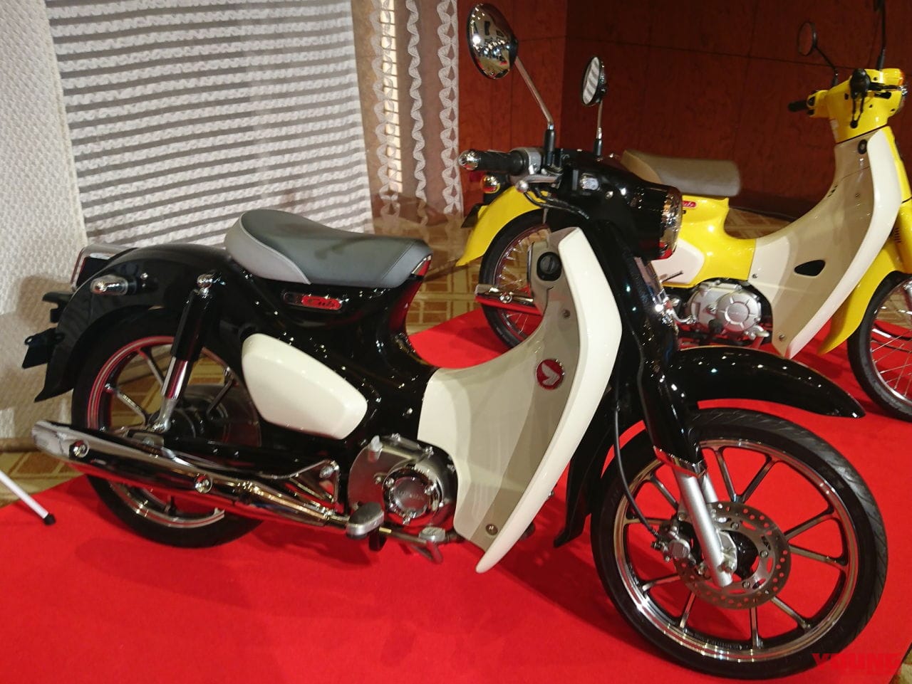 ホンダ スーパーカブc125 モンキー125 ブラック発売確定 海外ではこんな色のカブも登場 Webヤングマシン 最新バイク情報 ホンダ スーパーカブc125 モンキー125 ブラック発売確定 海外ではこんな色のカブも登場 Webヤングマシン 最新バイク情報