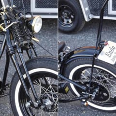 スプリンガーフォーク