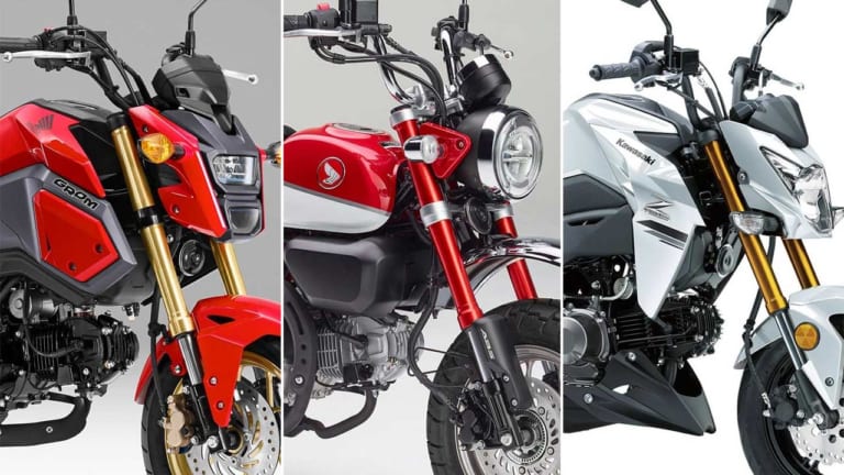 ’20新車バイク総覧〈110〜125cc原付二種|国産車#2/5〉レジャーバイク|’20新車バイク総覧〈110〜125cc原付二種|国産車#2/5〉レジャーバイク