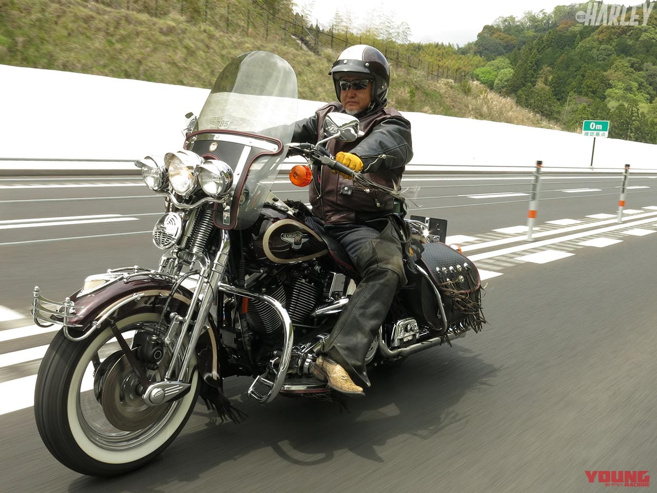 ハーレーツーリング(山梨・マイパフォーマンス)|想像より楽しい!ハーレーツーリングで静岡・清水港へ【山梨・マイパフォーマンス】