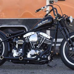 1984 Shovel Rigid Springer