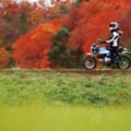 レーシング女子・岡崎静夏のモンキー125試乗インプレ【”ゆるふわ”バイクは貴重な存在】