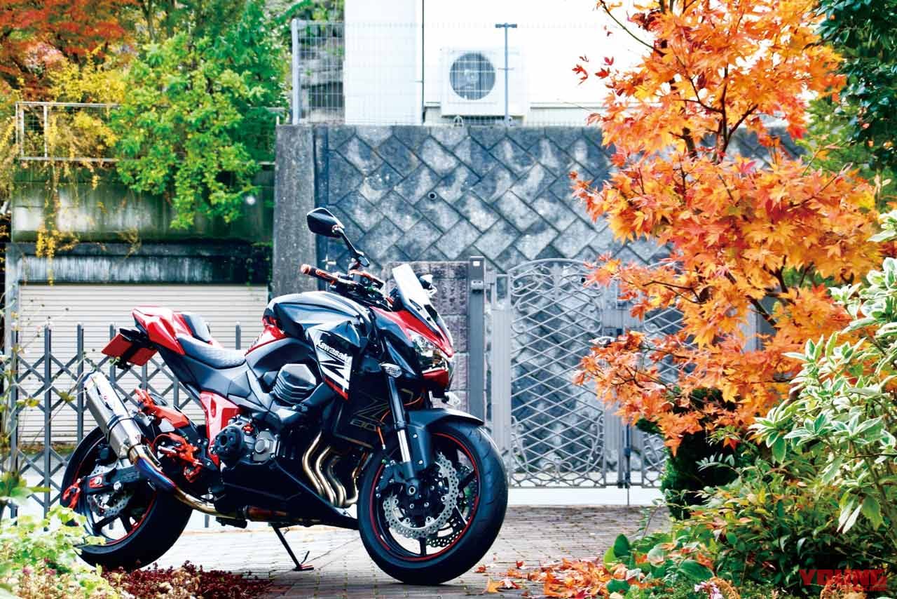 カワサキZ800 愛車インプレッション|ヤングマシンメンバーズが語る愛車インプレッション【スズキ250SB/カワサキZ800】