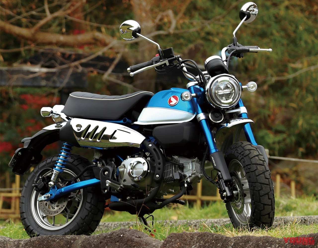 ホンダ モンキー125|’19 ストリートスポーツ50〜125cc人気バイクランキング【マシン・オブ・ザ・イヤー投票】