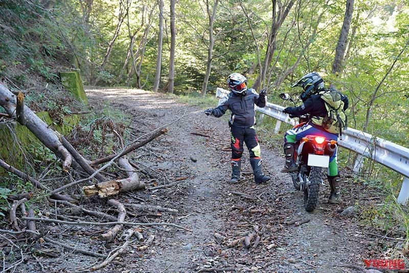 目前に突き出した枝!|安全&楽しい林道ソロツーリングの心得〈転倒を防ぐ林道走行の注意点〉