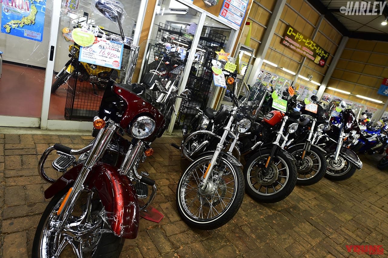 レッドバロンでハーレーダビッドソン購入大作戦 愛佳 朱香 お気に入り購入の顛末 Webヤングマシン 最新バイク情報 レッドバロンでハーレーダビッドソン購入大作戦 愛佳 朱香 お気に入り購入の顛末 Webヤングマシン 最新バイク情報