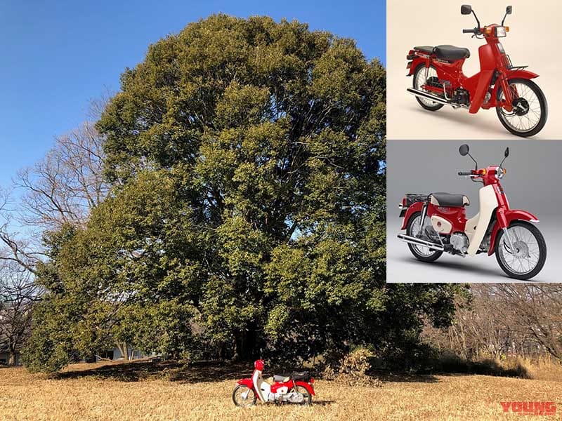 ホンダ高山正之のバイク一筋46年|スーパーカブはホンダを知るための偉大な指南書【ホンダ高山正之のバイク一筋46年:第9回】