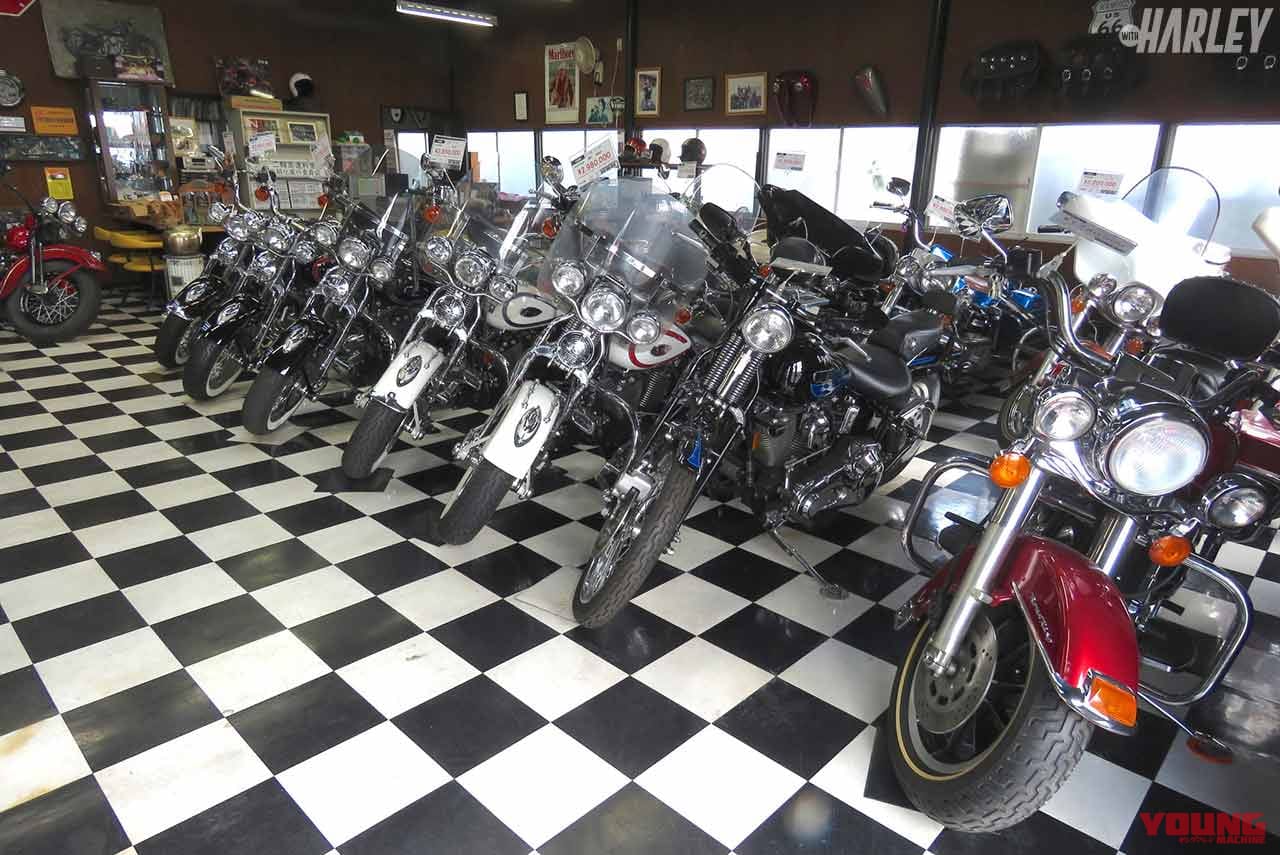 輸入したショベルはフルオーバーホールしてから販売【ビンテージハーレー専門店・鼓動館】|輸入したショベルはフルオーバーホールしてから販売【ビンテージハーレー専門店・鼓動館】