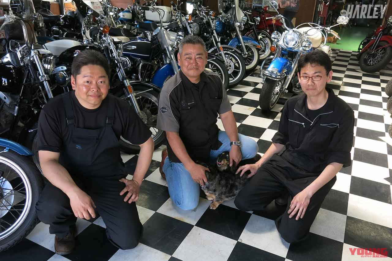 輸入したショベルはフルオーバーホールしてから販売【ビンテージハーレー専門店・鼓動館】|輸入したショベルはフルオーバーホールしてから販売【ビンテージハーレー専門店・鼓動館】