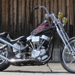 マイパフォーマンス のパンヘッドカスタム