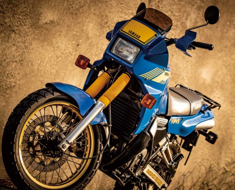 '80年代青春名車バイクを手に入れろ! TDR250|’80年代青春名車バイクを手に入れろ!【価格高騰が進み”伝説”となる前に】