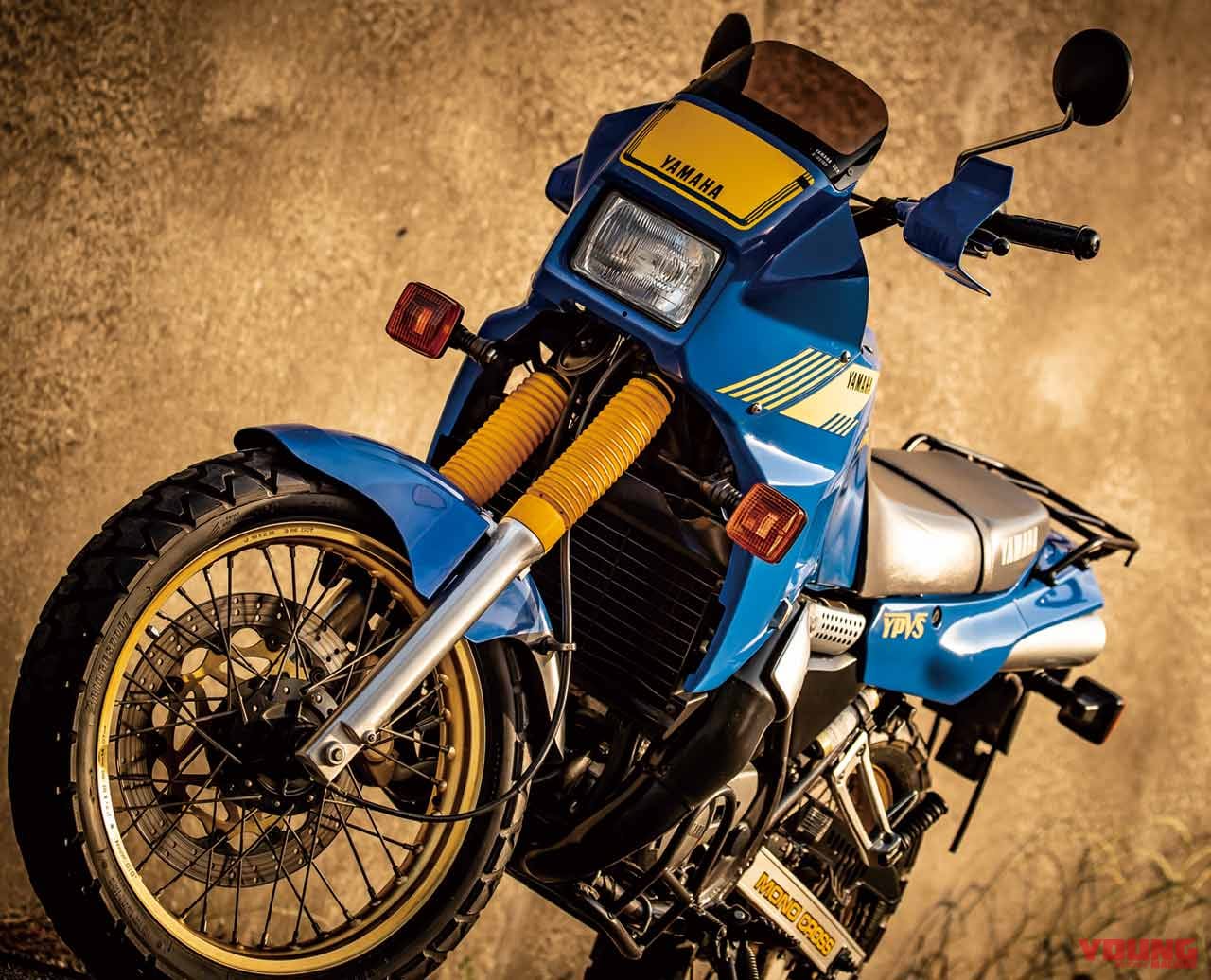 '80年代青春名車バイクを手に入れろ! TDR250|’80年代青春名車バイクを手に入れろ!【価格高騰が進み”伝説”となる前に】