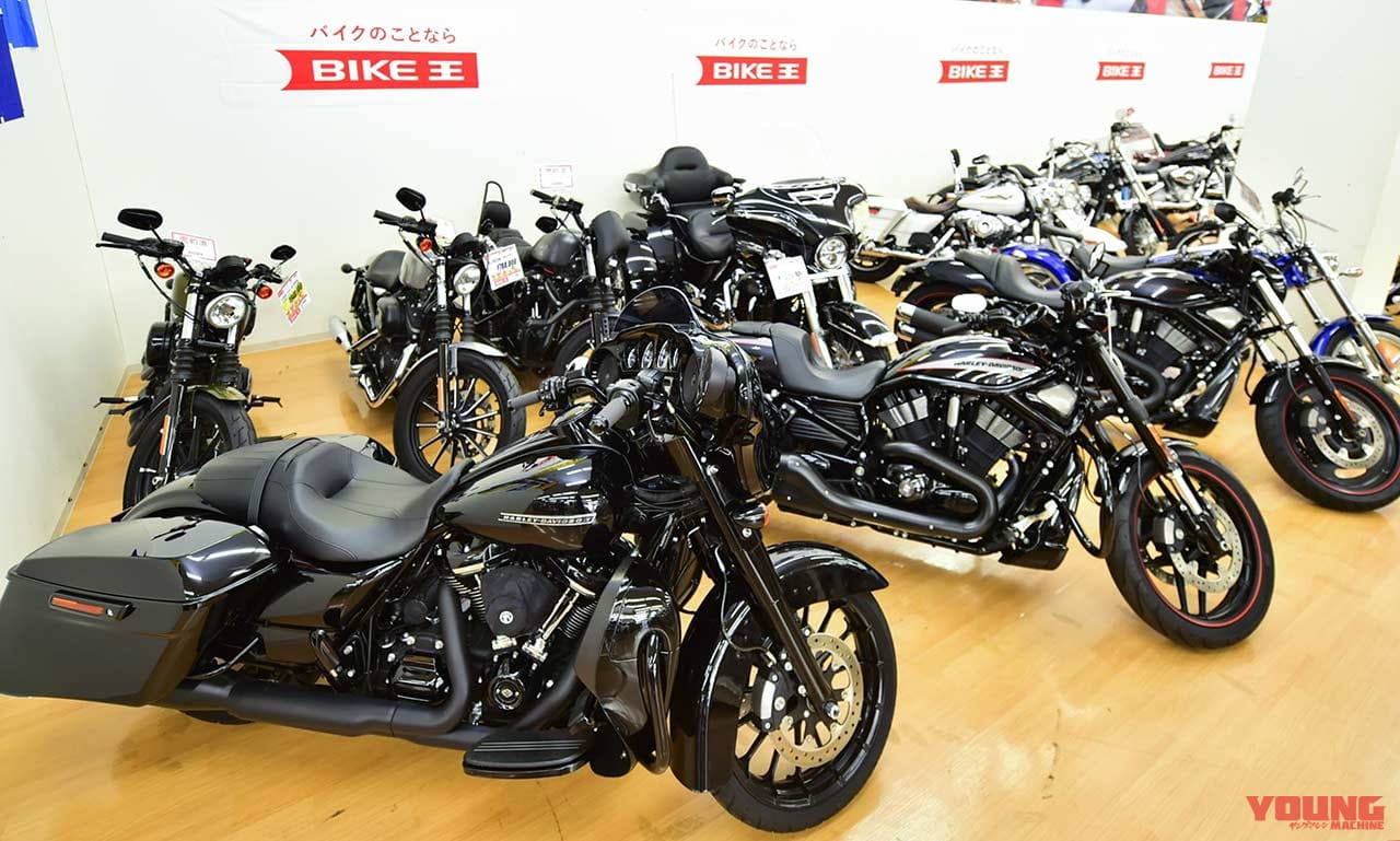 |期間限定展示・全国から選りすぐりの中古ハーレー勢揃い【バイク王GLOBO蘇我店特設会場】