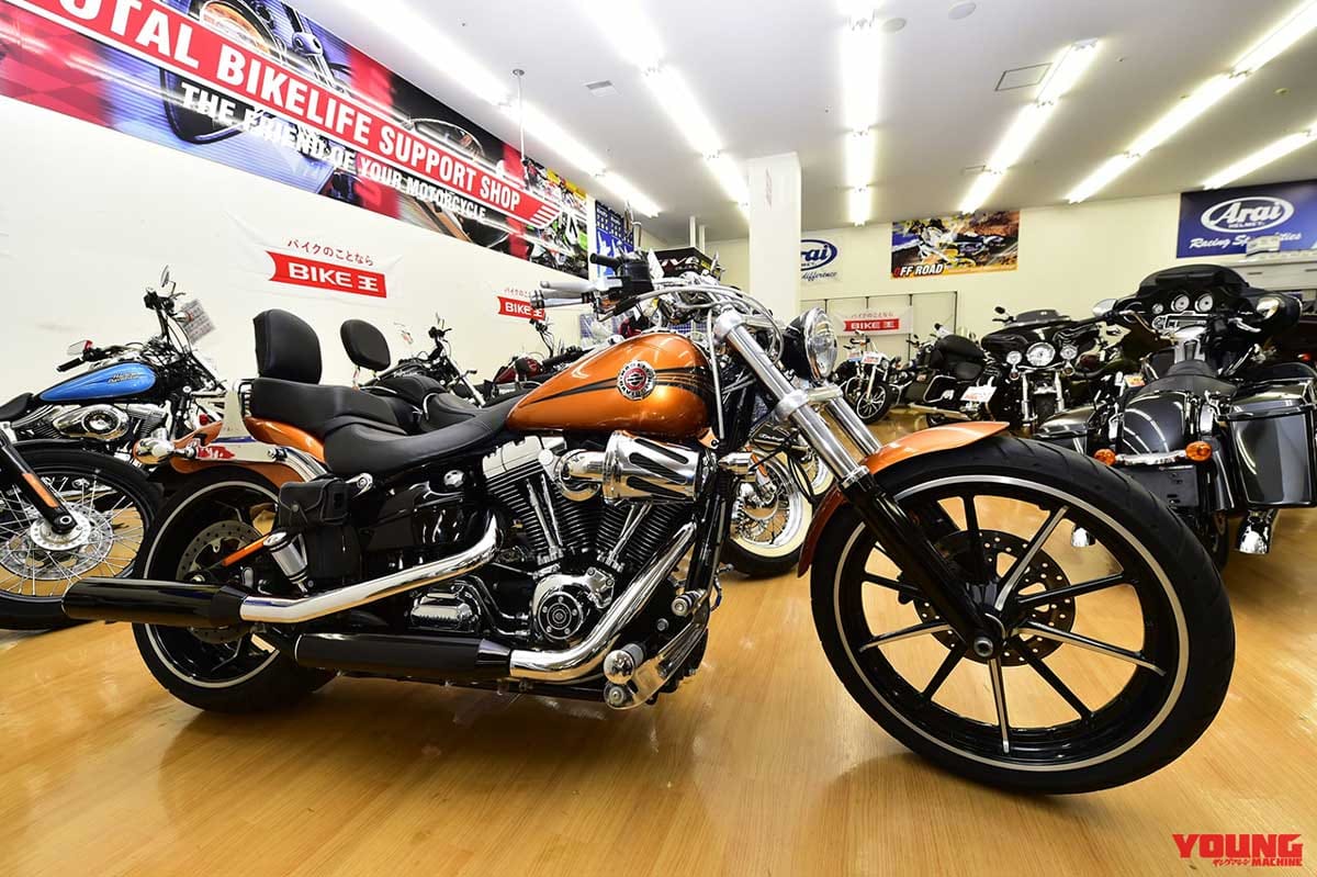 |期間限定展示・全国から選りすぐりの中古ハーレー勢揃い【バイク王GLOBO蘇我店特設会場】