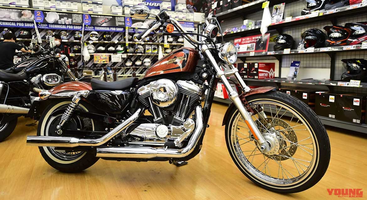 |期間限定展示・全国から選りすぐりの中古ハーレー勢揃い【バイク王GLOBO蘇我店特設会場】