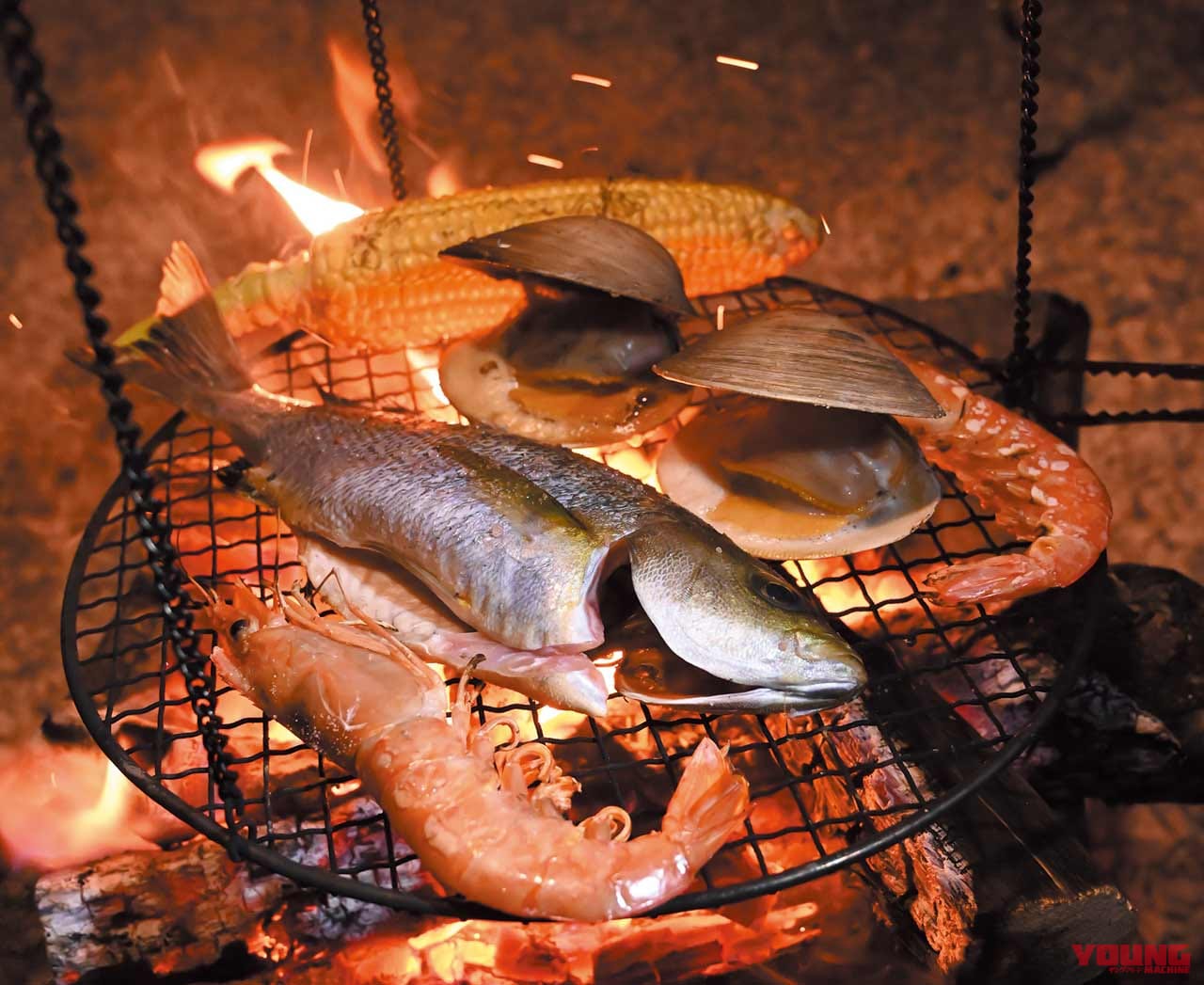 憧れの焚き火に挑戦!【ソロで楽しむバイクキャンプ入門】|炭火で焼けば何でも美味い、キャンプ焚き火に挑戦【ソロで楽しむバイクキャンプ入門】