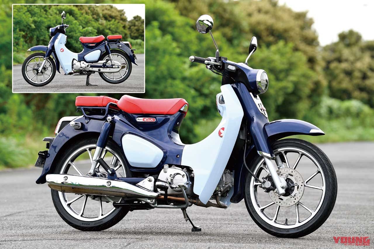 Ct125ハンターカブ スーパーカブc125 クロスカブ110 兄弟車ディテール比較 Webヤングマシン 最新バイク情報 Ct125ハンターカブ スーパーカブc125 クロスカブ110 兄弟車ディテール比較 Webヤングマシン 最新バイク情報