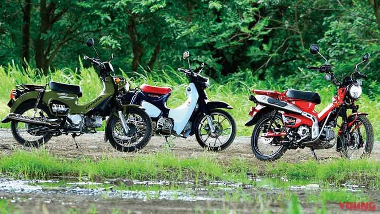 |CT125ハンターカブ/スーパーカブC125/クロスカブ110〈兄弟車ディテール比較〉