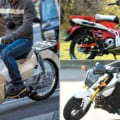 ホンダ スーパーカブ110 に新エンジン タイ発表の新型に謎のロングストロークエンジン搭載 Webヤングマシン 最新バイク情報