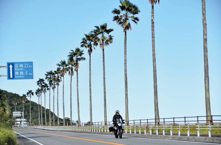 日南フェニックスロード|南国宮崎ツーリング|宮崎カーフェリー|Go Toトラベルキャンペーンでおトクな南国宮崎ツーリング〈宮崎カーフェリー〉