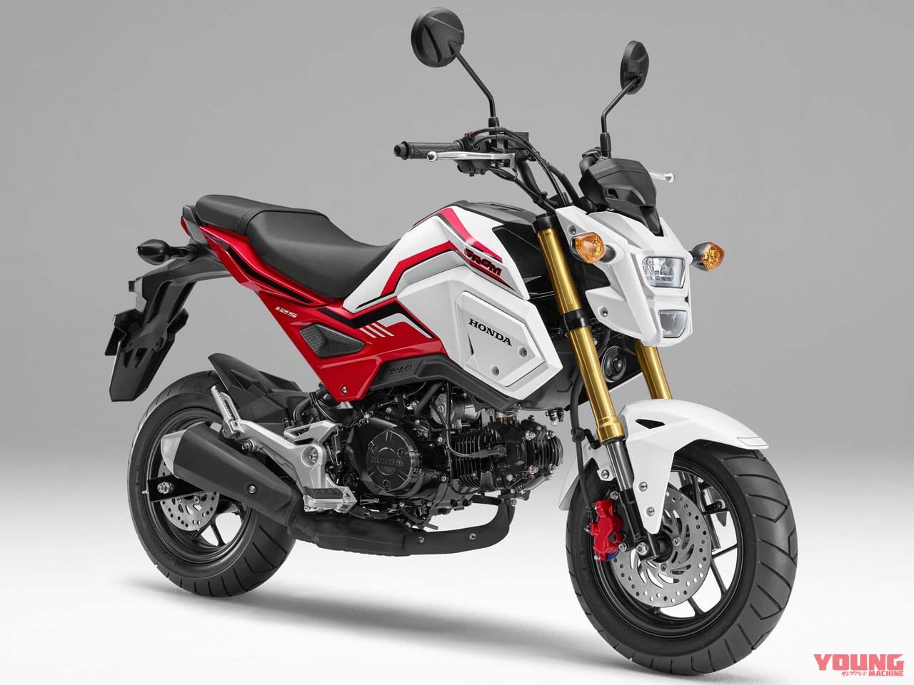 ホンダ グロム 2020年モデル|Scoop!【新型グロム画像を極秘入手】エンジンも完全刷新か【原付二種】