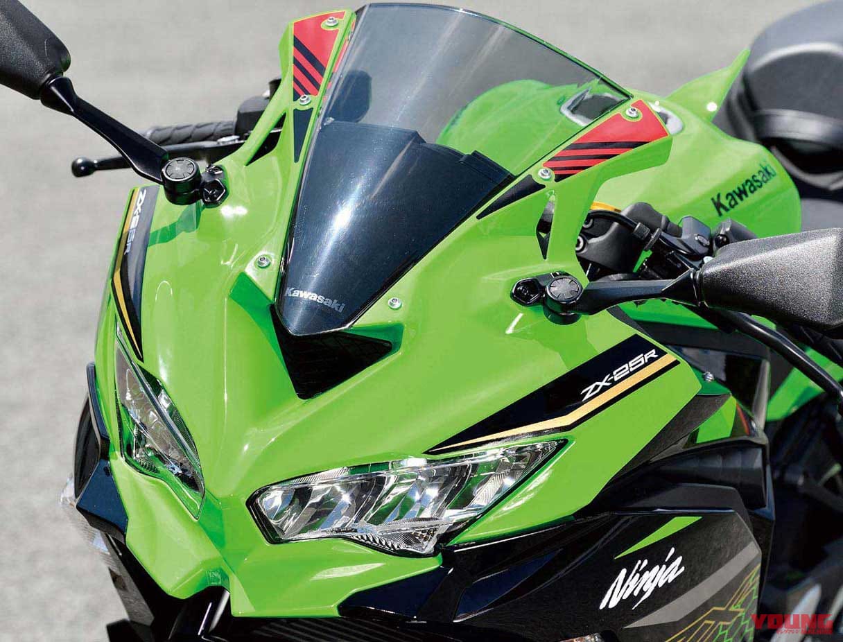 ソフトパープル カーボントリムスクリーン マジカルレーシング ZX25R