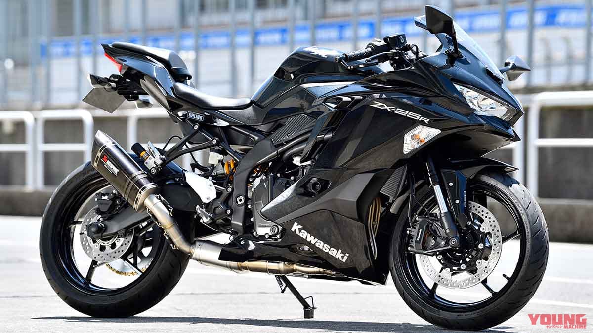 ＷＥＢ限定カラー有 トリックスター│コアガード│kawasaki ZX-25R