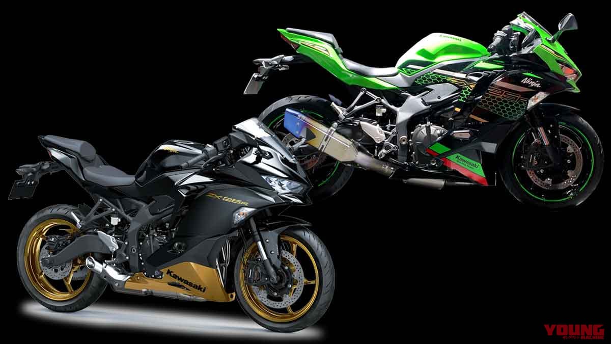 ZX25ZX25R カスタムデカールキット　トリックスター