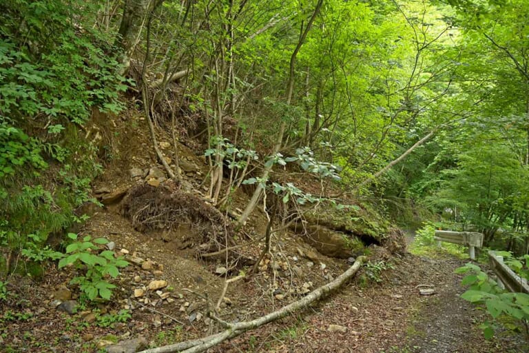 関東屈指のプラチナルート「御荷鉾スーパー林道」ゴーライド流・完全詳解|関東屈指のプラチナルート「御荷鉾スーパー林道」ゴーライド流・完全詳解〈後編〉
