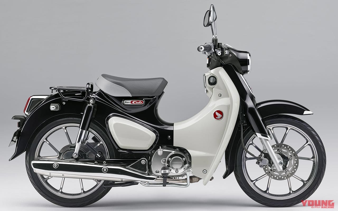 HONDA Super Cub C125|次期排ガス規制クリア? 絶版? ’20-’21新車バイク動向予想〈アンダー250cc編〉