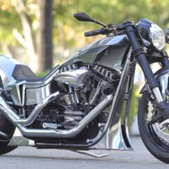 トライジャのjustice