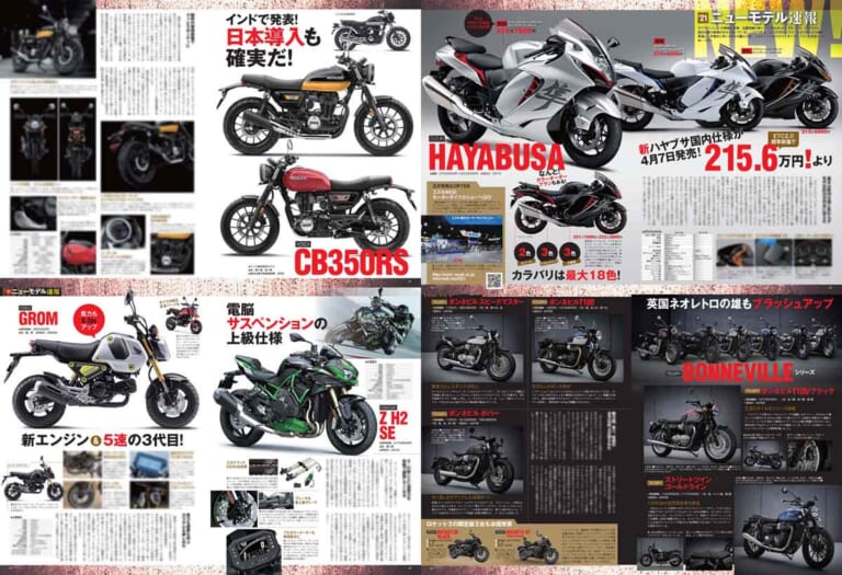 ヤングマシン2021年5月号|ヤングマシン5月号は3/24発売! レブル1100/500/250徹底比較、ダブル付録は隼祭りだ!