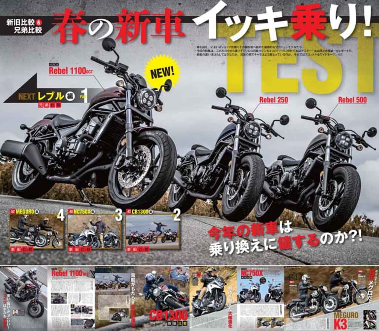 ヤングマシン2021年5月号|ヤングマシン5月号は3/24発売! レブル1100/500/250徹底比較、ダブル付録は隼祭りだ!