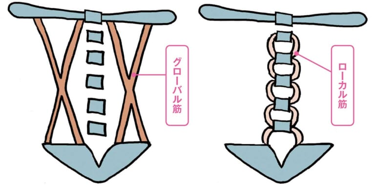 体幹エクササイズ