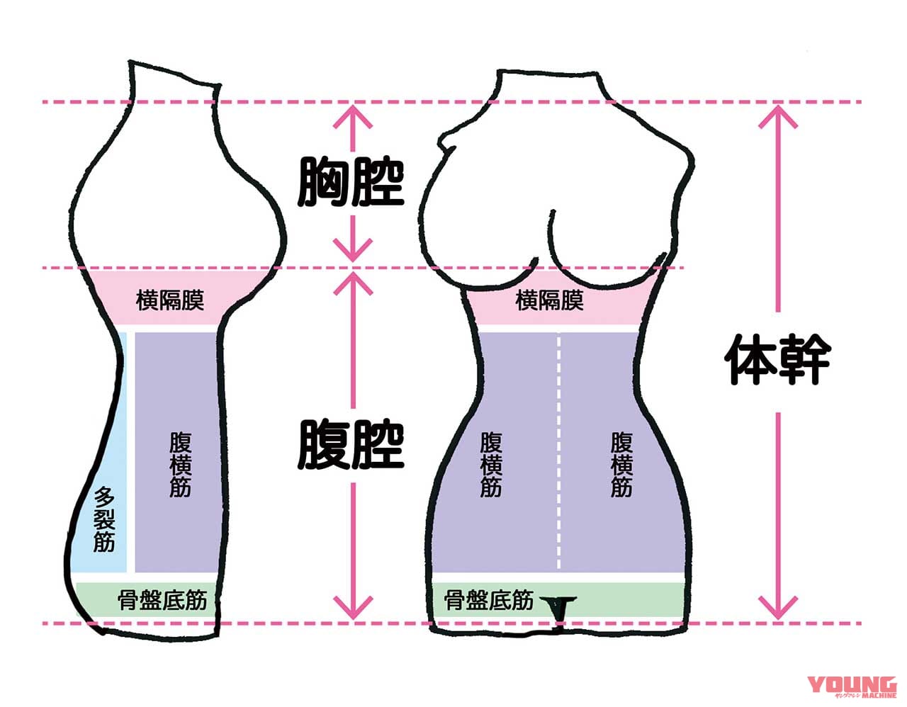 |ライディングが上手くなる、”ながら”体幹エクササイズ〈セルフ身体メンテナンス|前編〉