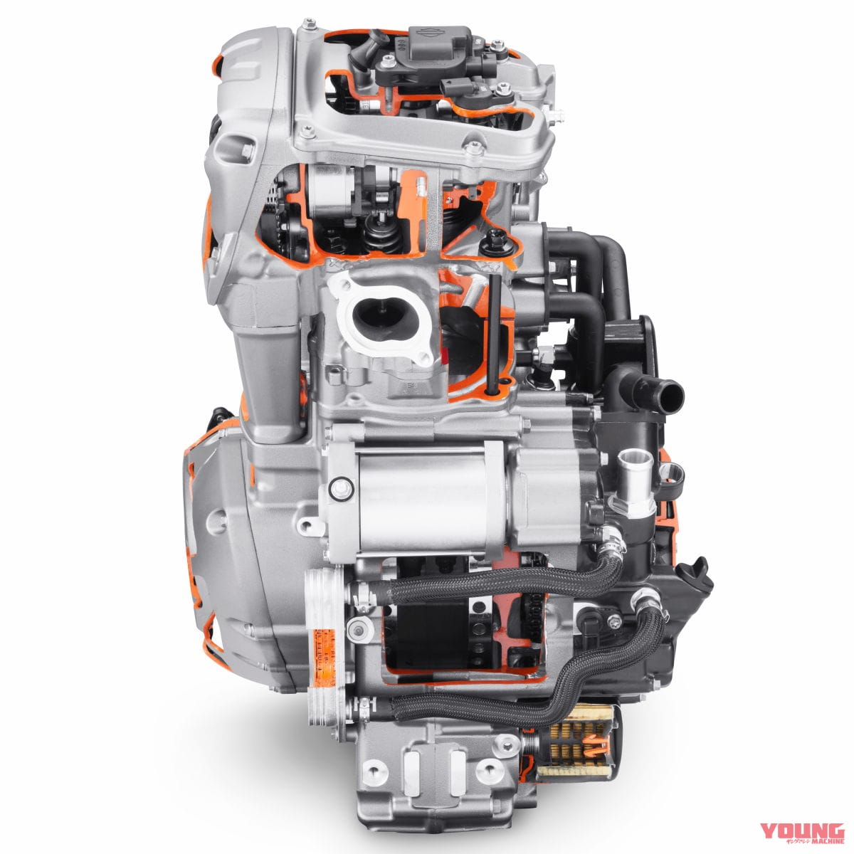 |旧アフリカツインの再来!? ハーレーの新設計エンジン「レボリューションマックス1250」とは