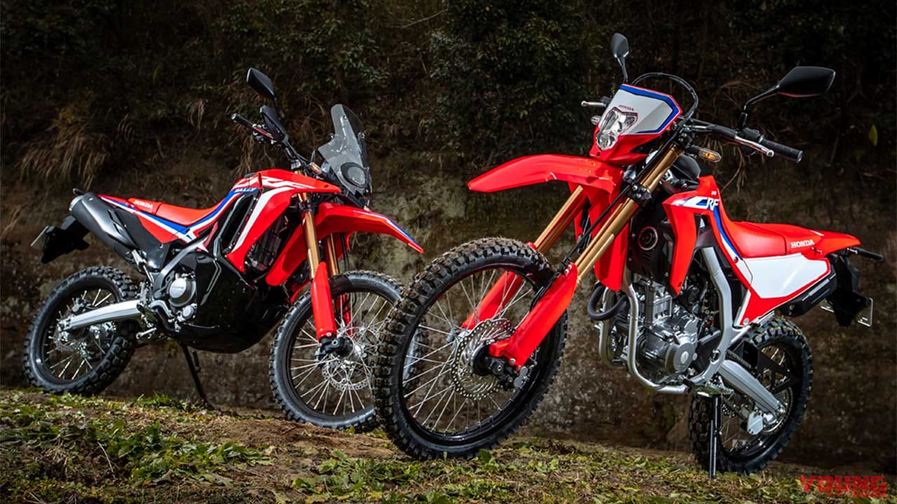 ホンダcrf250l ラリー比較試乗インプレッション 正常進化で個々の持ち味を徹底強化 Webヤングマシン 新車バイクニュース ホンダcrf250l ラリー比較試乗インプレッション 正常進化で個々の持ち味を徹底強化 Webヤングマシン 新車バイクニュース