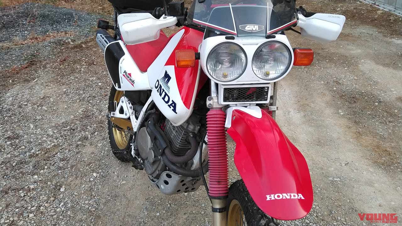 |ヤングマシンメンバーズ・ワタシの愛車インプレッション〈ホンダXL600Rファラオ〉