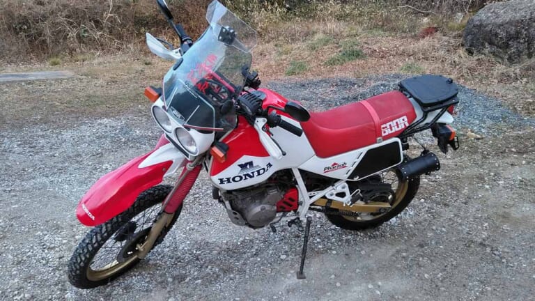 ヤングマシンメンバーズ愛車インプレッション〈ホンダXL600Rファラオ〉|ヤングマシンメンバーズ・ワタシの愛車インプレッション〈ホンダXL600Rファラオ〉