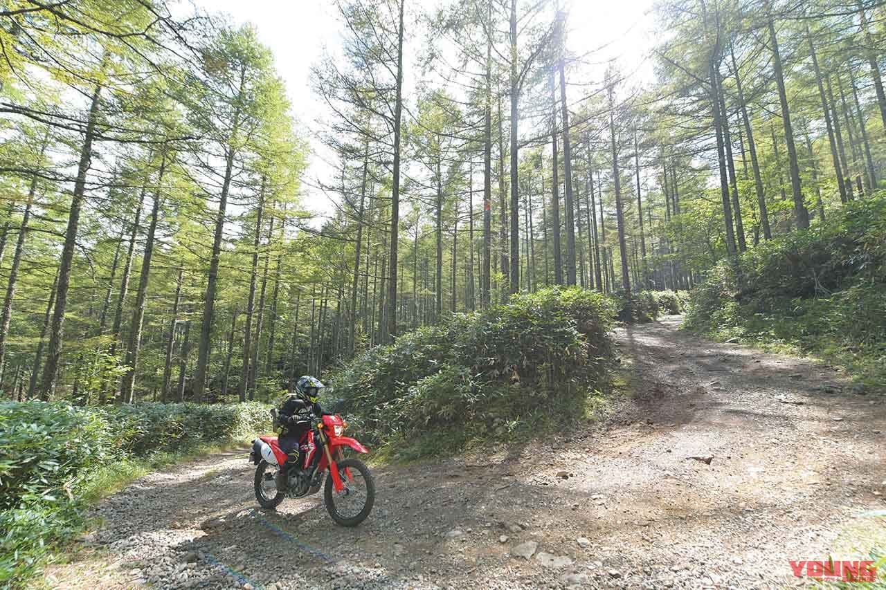 林道ツーリング|本沢温泉 野天風呂 雲上の湯|ホンダCRF250L|日本最高所の野湯「雲上の湯」を目指し林道を走り山をゆく!!〈八ヶ岳林道温泉ツーリング・前編〉
